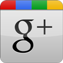 googleplus,grey,gloss icon