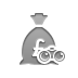 money,bag,pound,binoculars icon