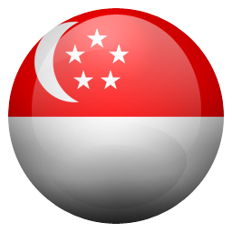 sg icon