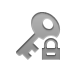 key,lock icon