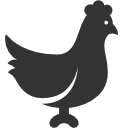 chiken icon