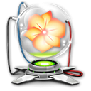 6 icon