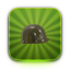 wyjg icon