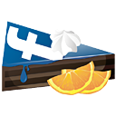 facebook icon