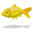 fish,animal icon