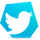 bird, social, tweet, twitter icon