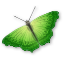 butterfly,animal,insect icon