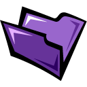 folder,grape icon