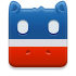 election icon