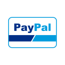 online payment, online transaction, payment method, paypal svg vector icon