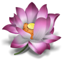 pink icon