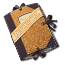 folder,private icon