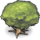 tree icon