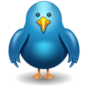 bird, twitter icon