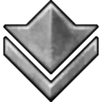 silver icon