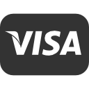 visa icon