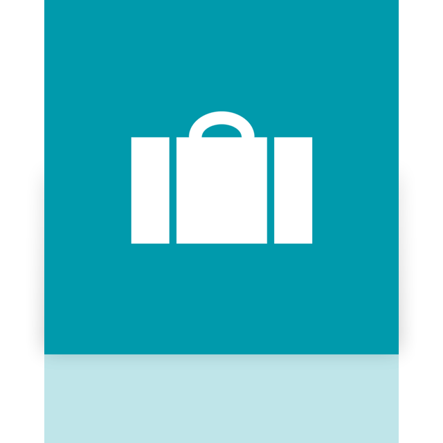 mirror icon