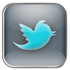 twitter icon