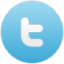 twitter icon