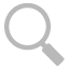 magnifier icon