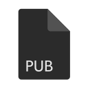 extension, file, format, pub svg vector icon