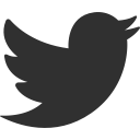 animal, bird, social, social media, tweet, twitter svg vector icon
