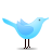 twitter,standing,animal,bird,social network,social,sn icon
