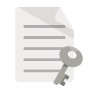 document,key icon