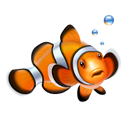 clown fish, fish, nemo icon
