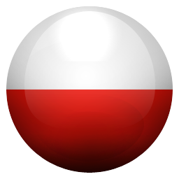 pl icon