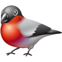 bullfinch,animal,bird,twitter,social network,social,sn icon