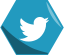 hexagon, media, networking, social, twitter svg vector icon