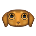 animal, dog, pet icon