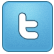 twitter,alt icon