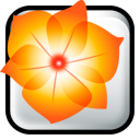 adobe,illustrator,cs icon