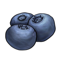 fruit,vegetable,blueberry,food icon