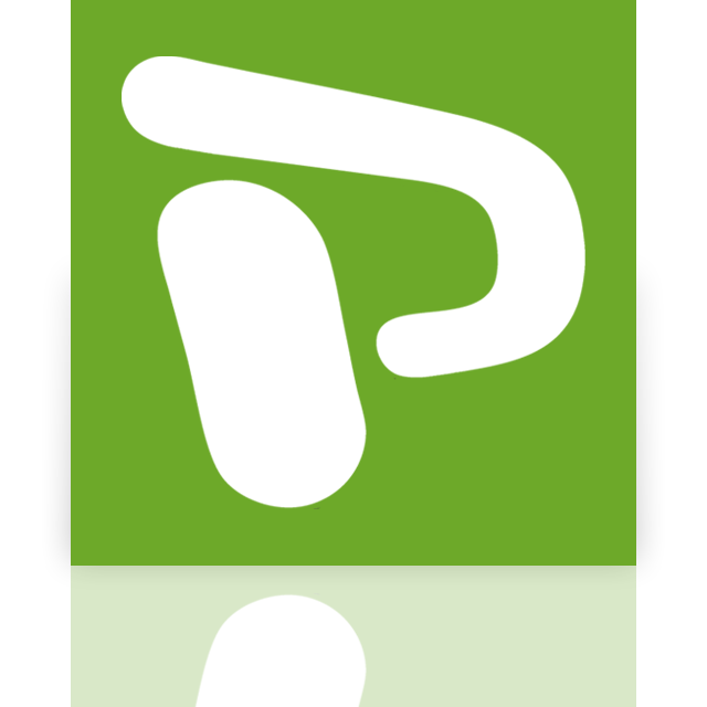 mirror, project icon