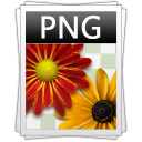 png icon