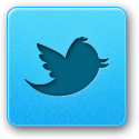 twitter,bird icon