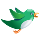 animal, bird, twitter icon