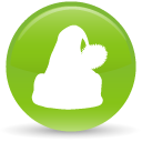 29 icon