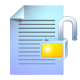 file, unlock icon