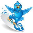 bird, surfing, twitter icon