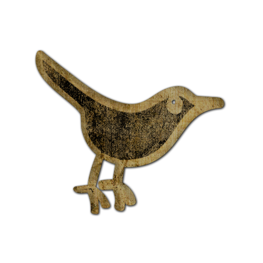 twitter,bird,animal,social network,social,sn icon