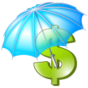 insurance icon