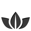 31 icon