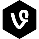 hexagon, media, social, vine svg vector icon