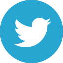bird, socialnetwork, twitter svg vector icon