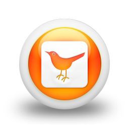 twitter,bird,square,animal,social network,social,sn icon