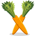 carrots icon